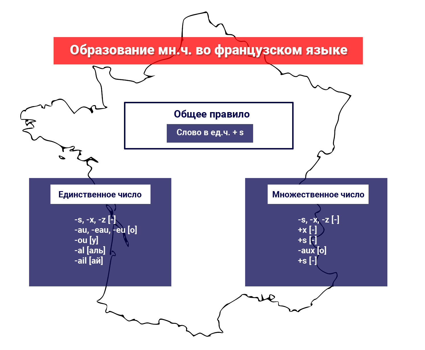 Образование множественного числа