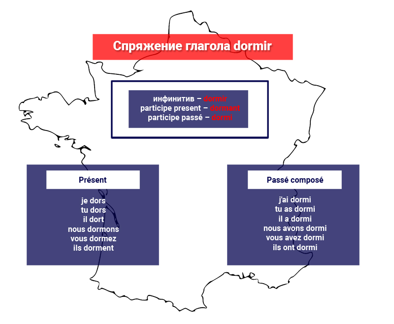 Спряжение dormir в двух временах