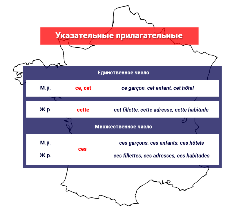 Указательные прилагательные во французском